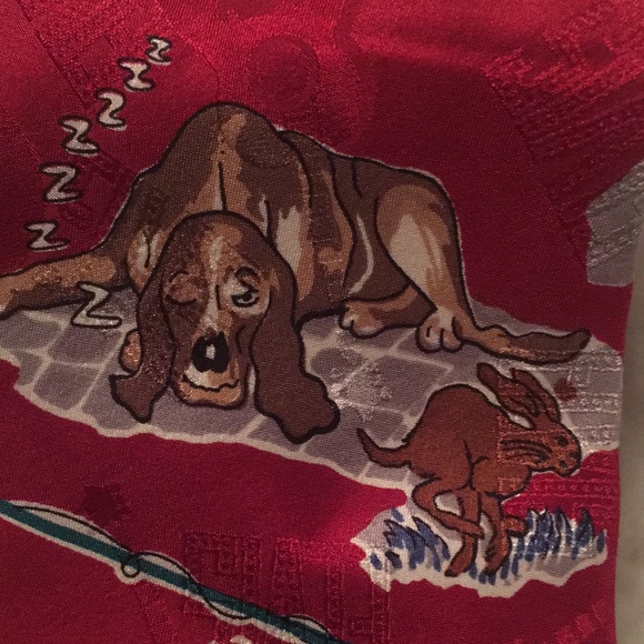 Superba - Picture 4 of 10